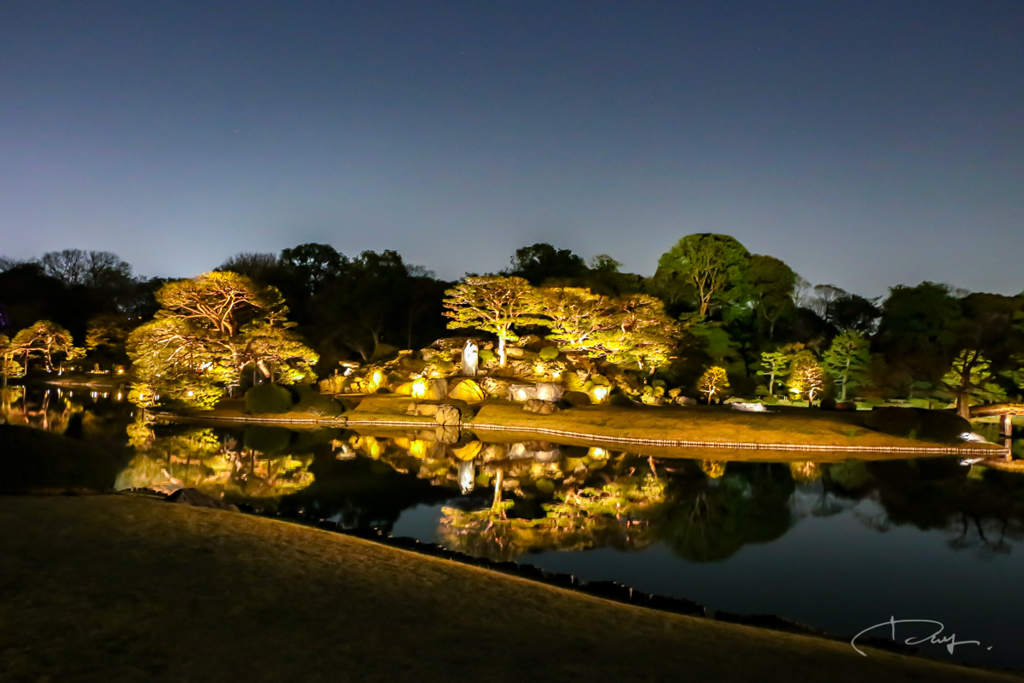 六義園 ライトアップ