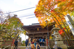 高尾山2017