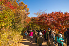 高尾山 2017