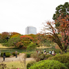 六義園 紅葉カメラ