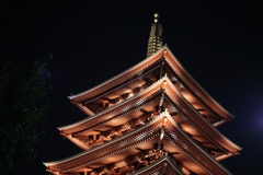 夜の浅草寺