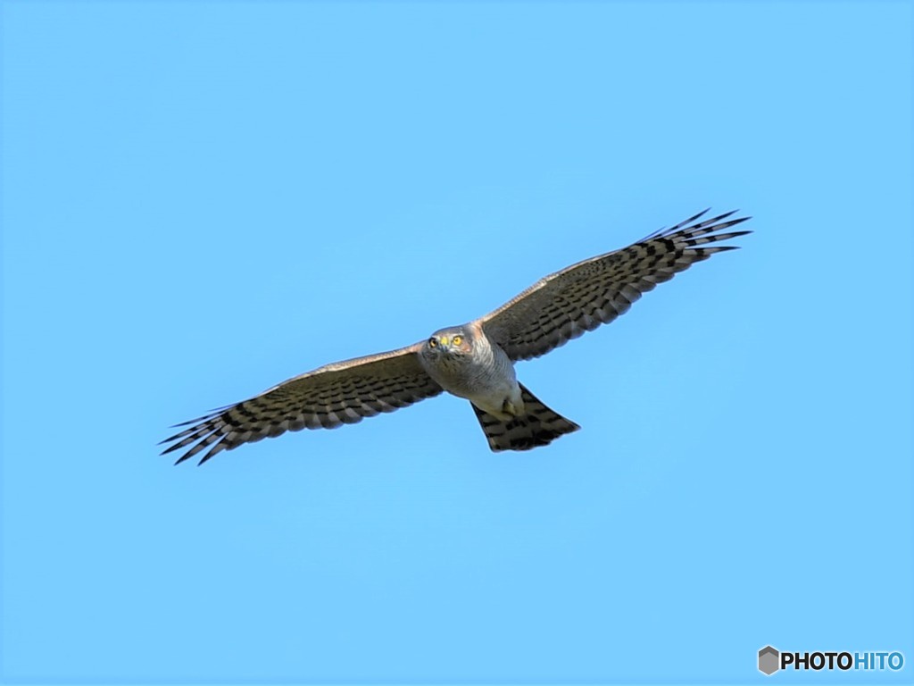 20181127-3　今日の一枚