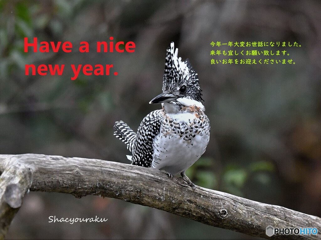 20211230　良い年をお迎えくださいませ。