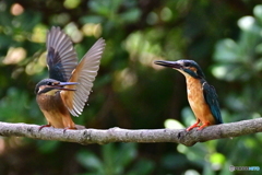 仲良くしょうぜ‼️