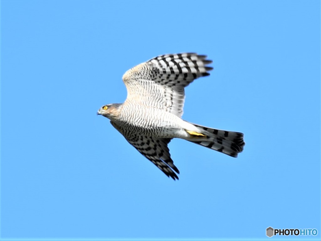 20181127-4　今日の一枚