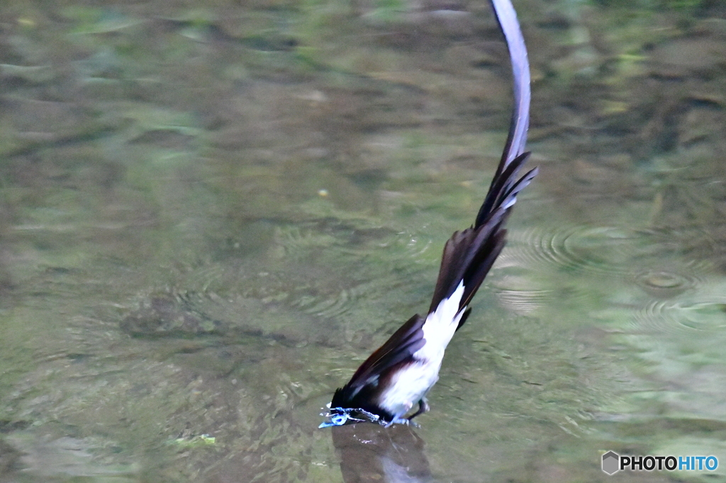 フレームアウト