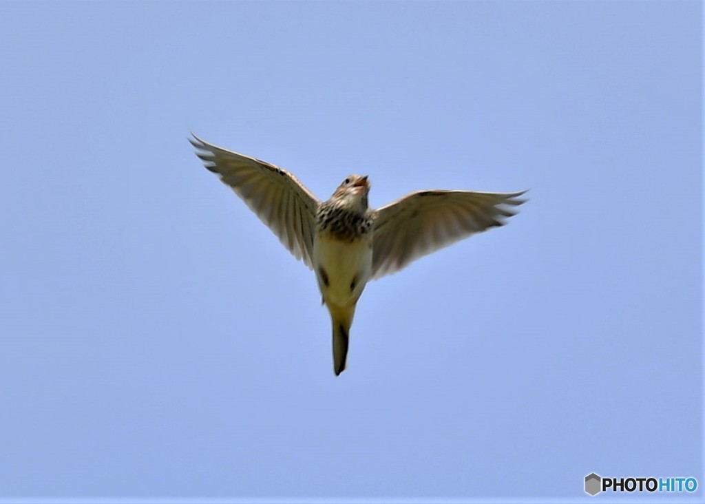 20181009-2　今日の一枚