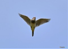 20181009-2　今日の一枚