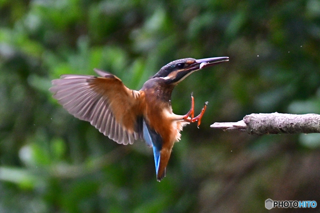 お帰りなさい〜