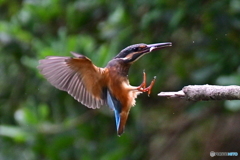 お帰りなさい〜