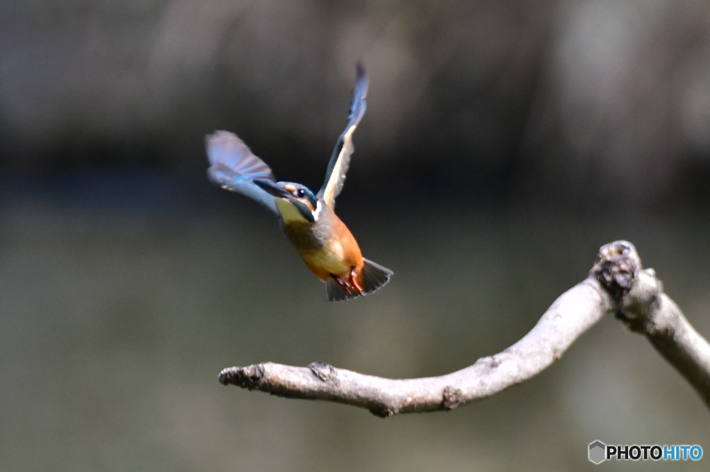 それ〜行け‼️