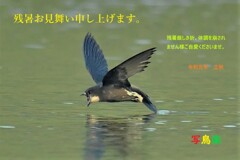 20190811　残暑お見舞い