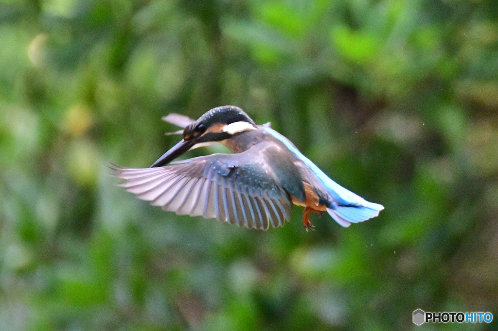 行ってきます〜