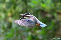 行ってきます〜