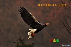 寒中ご見舞い申し上げます。