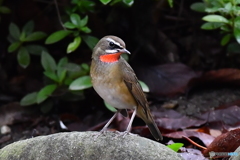 何か気になるな‼
