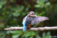 此方へどうぞ‼️
