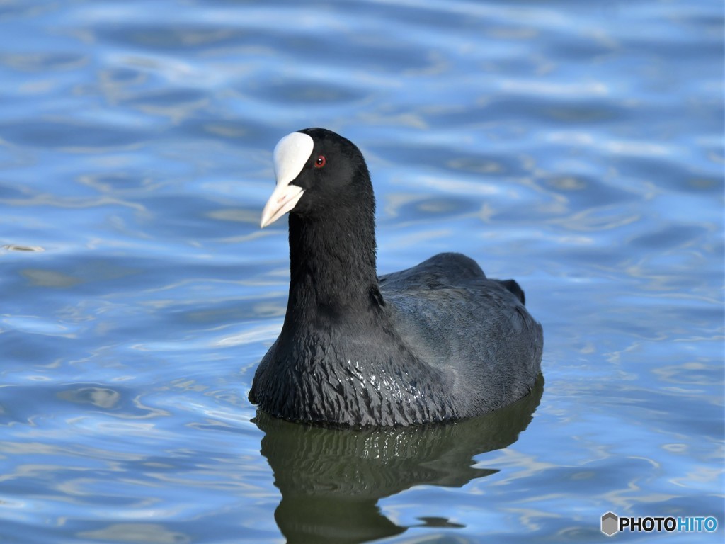 20181114-1　今日の一枚
