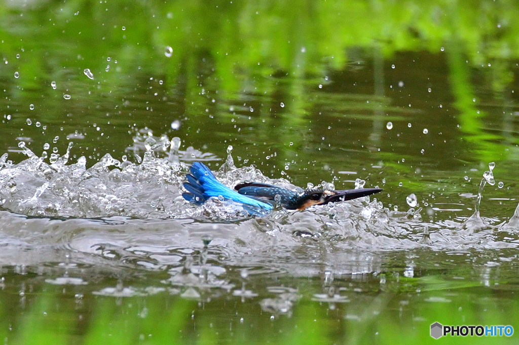 あぷぷ〜溺れそう‼️