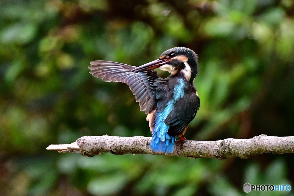 左手に見えますのは〇〇です。