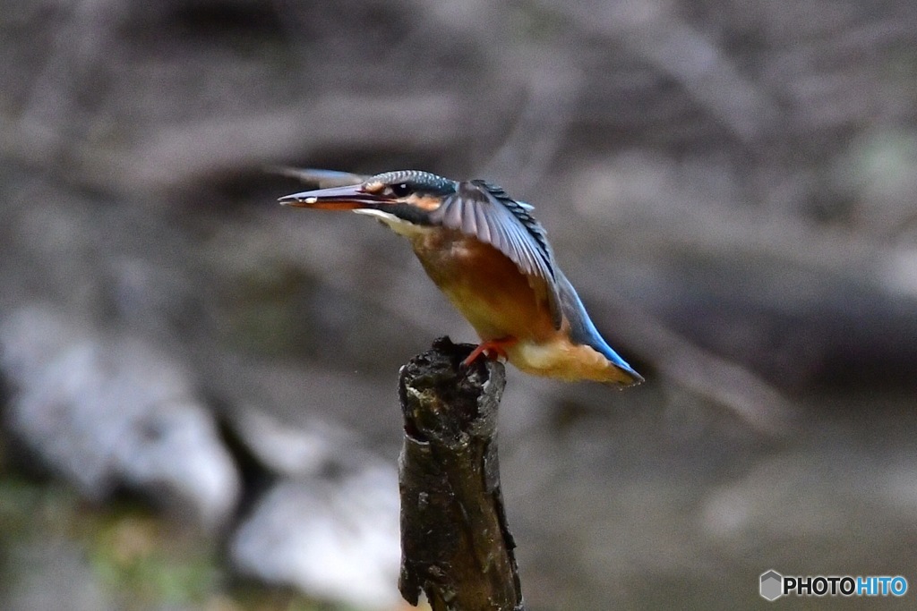 ○○○○フィールド（その3）