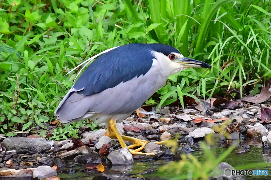 なんか、ねこ背ぽい‼️