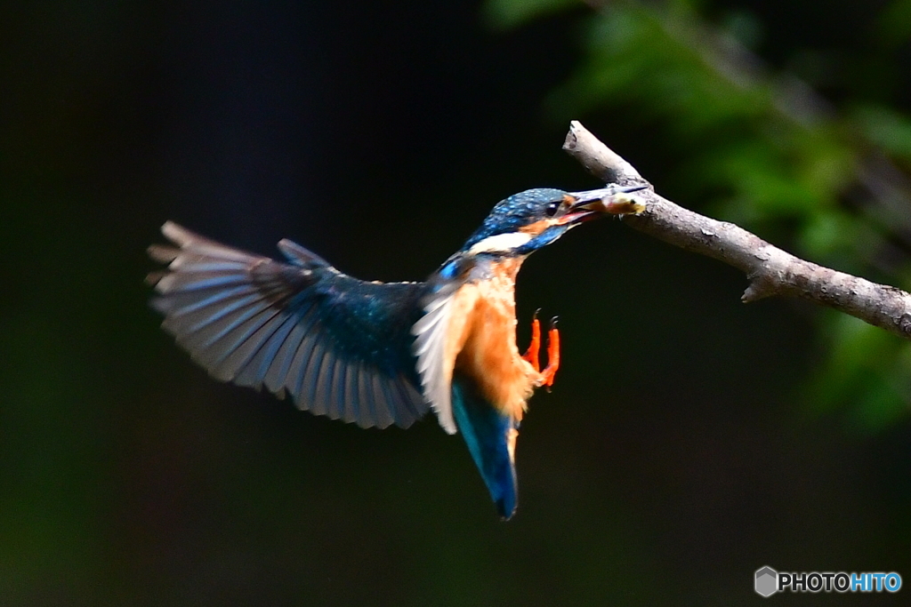 お気に入りの場所