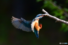 お気に入りの場所