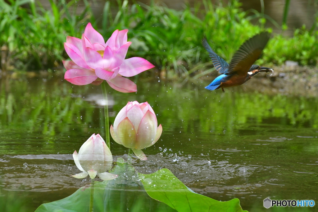 遊び心、合成 2