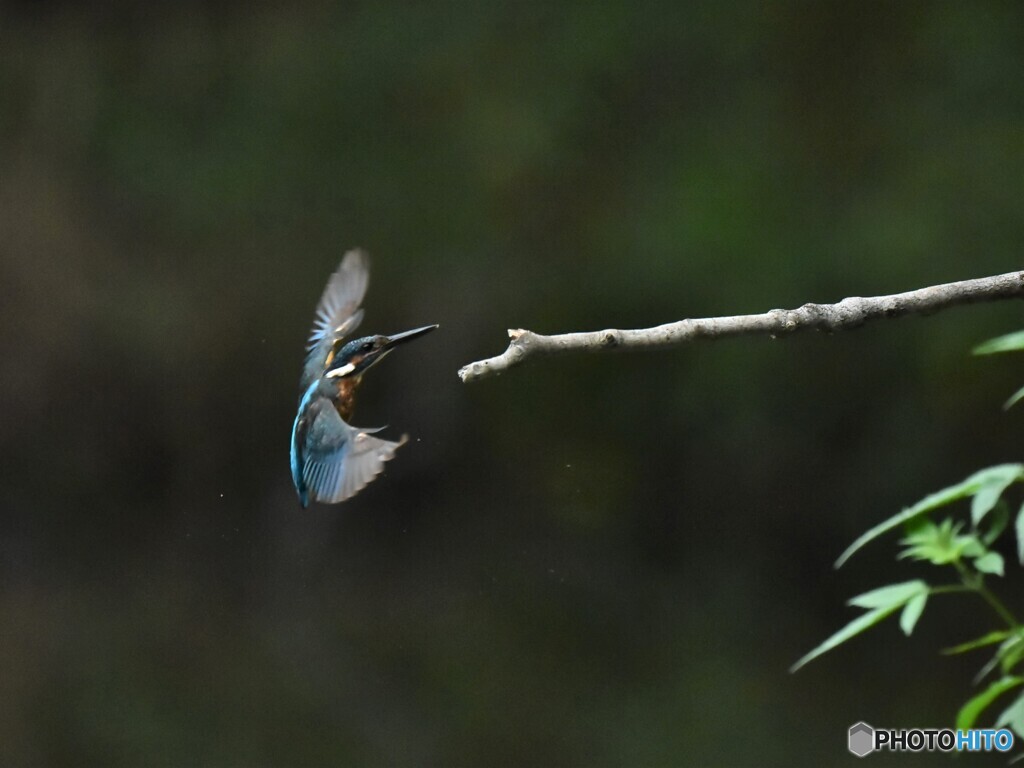 20190710　合成元画像-2