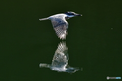 symmetric