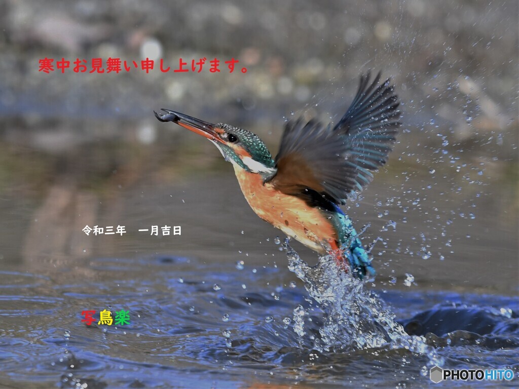 20210121  寒中お見舞い