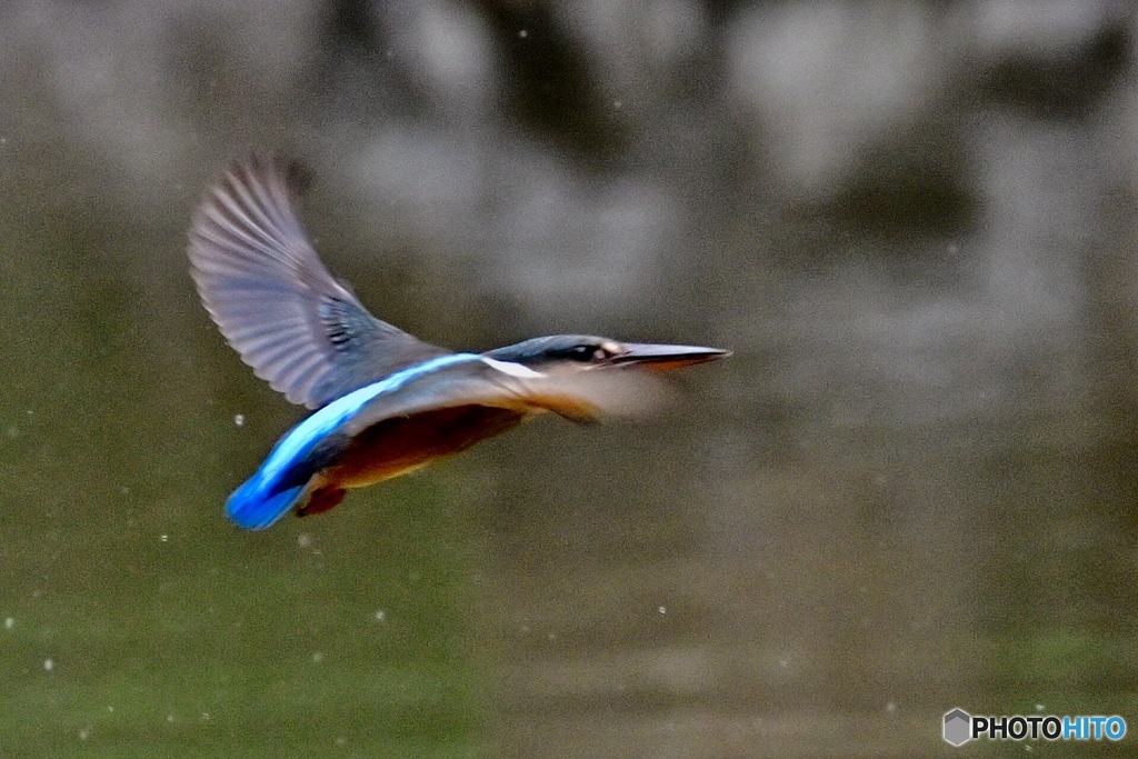 ○○○○フィールド（その4）