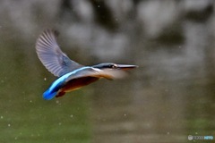 ○○○○フィールド（その4）