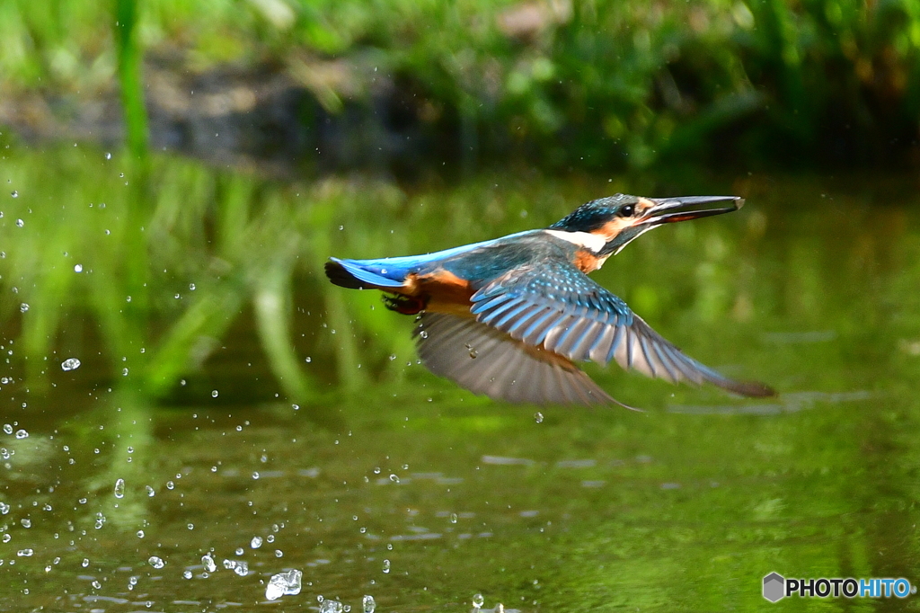 飛んでれらぁ〜