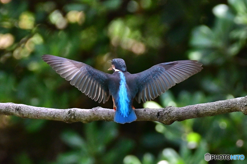 魅せられて‼️
