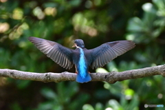 魅せられて‼️