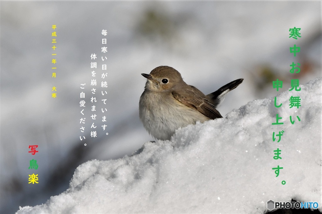 寒中見舞い
