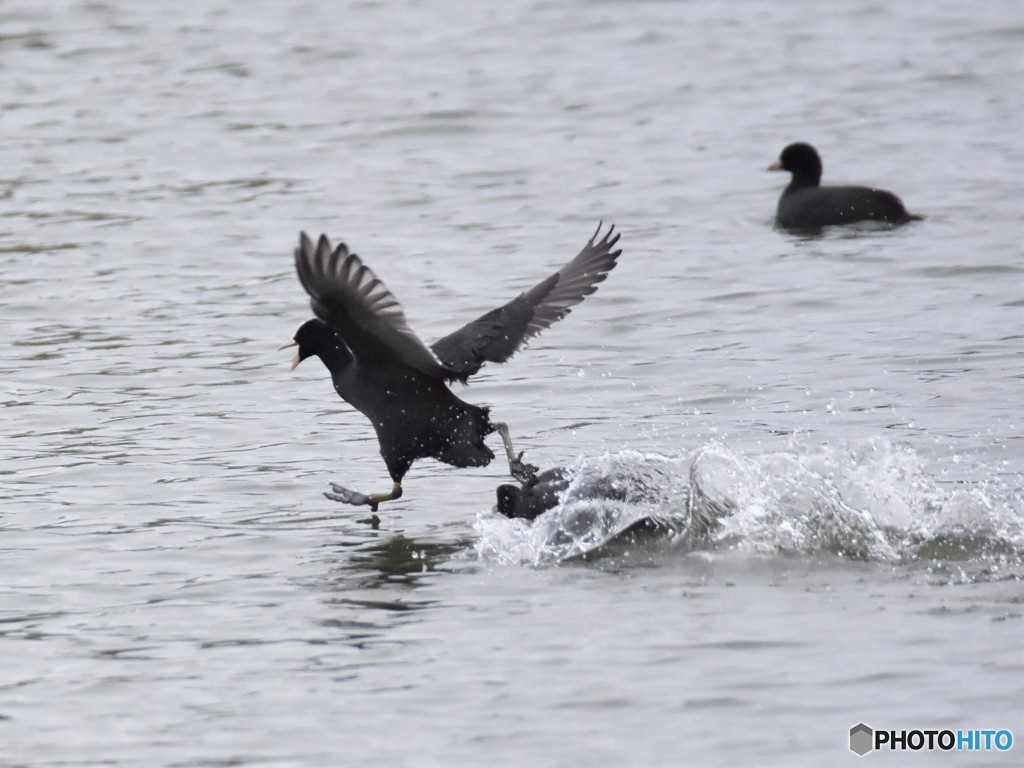 20181104-2　今日の一枚