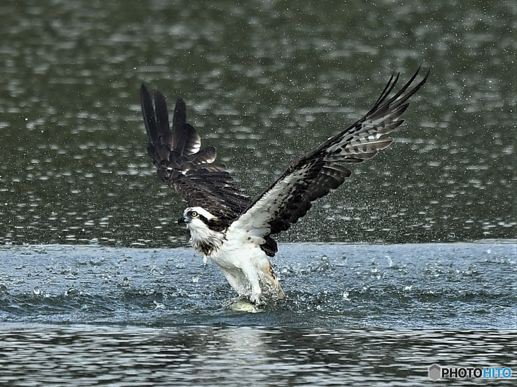 20181005-1 今日の一枚。