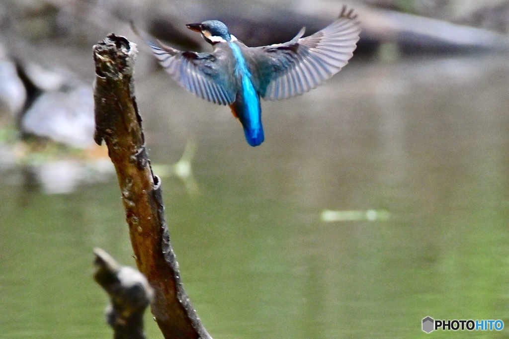 ○○○○フィールド（その6）