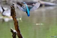 ○○○○フィールド（その6）