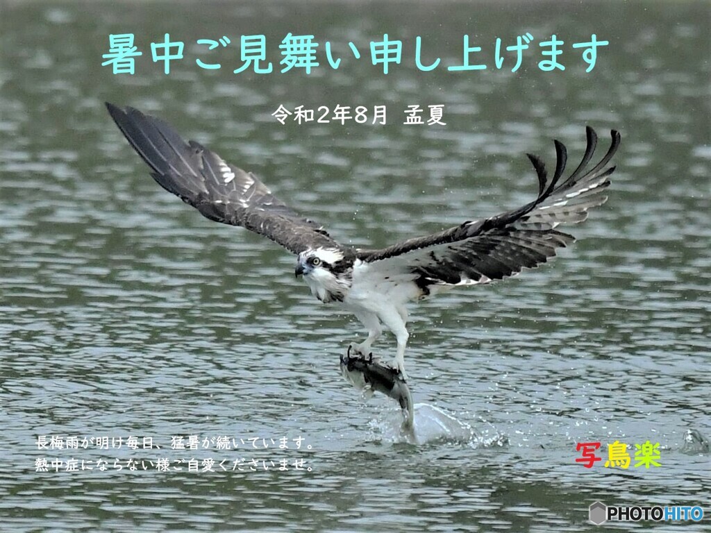 20200804　暑中見舞い