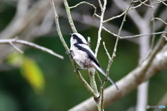 夕暮れの一時‼️