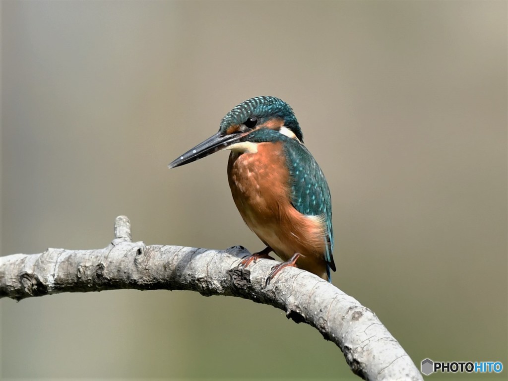 20181020-1　今日の一枚