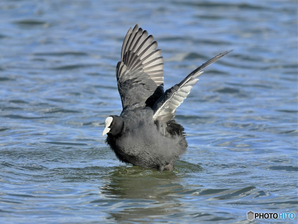 20181114-2　今日の一枚