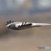 ハイチュウ飛翔その3