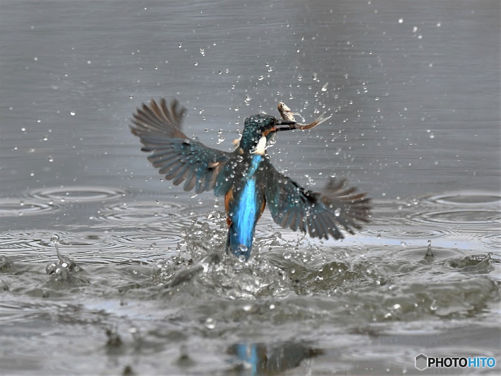 20190220-3　今日のカワちゃん