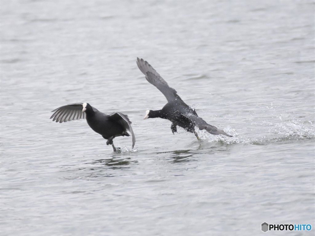 20181104-1　今日の一枚