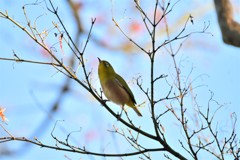 寒空を見上げる。